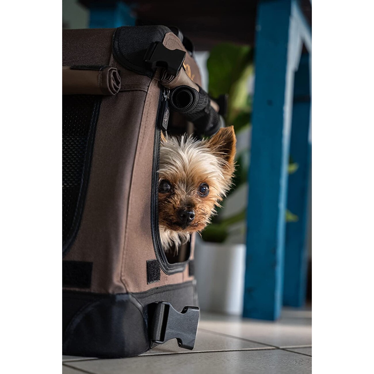 TrendPet Faltbare Hundebox TPX-Pro XS