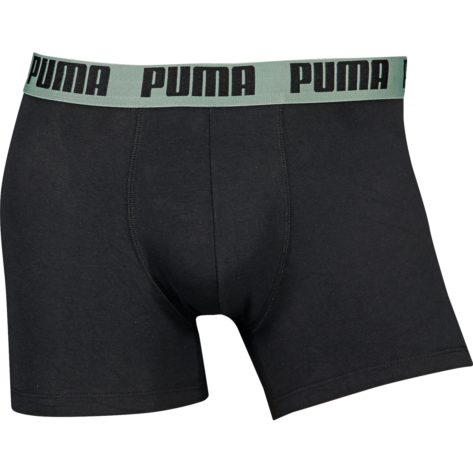 Puma Herren-Boxershorts Everyday Basic, 2 Stück L, olive