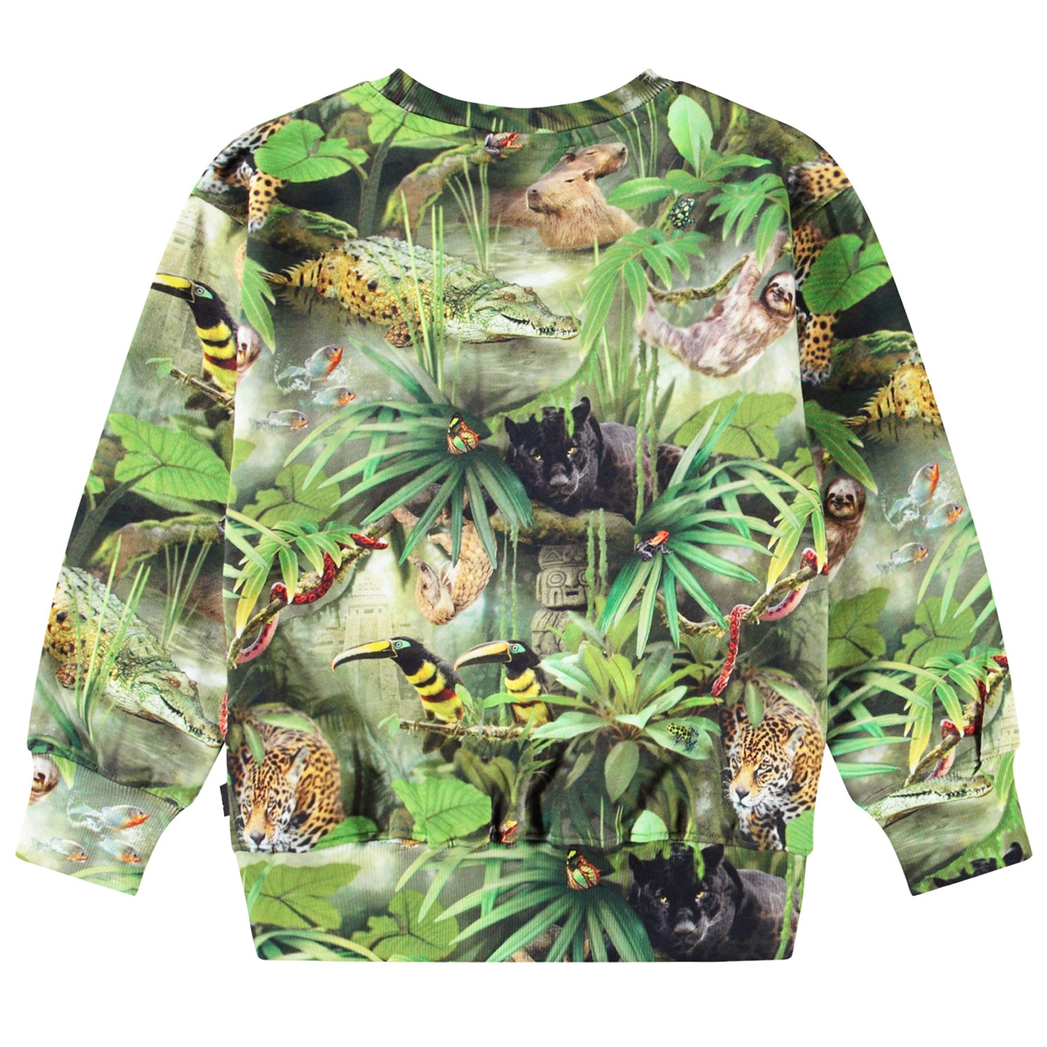 Mattis - Jungle Animals