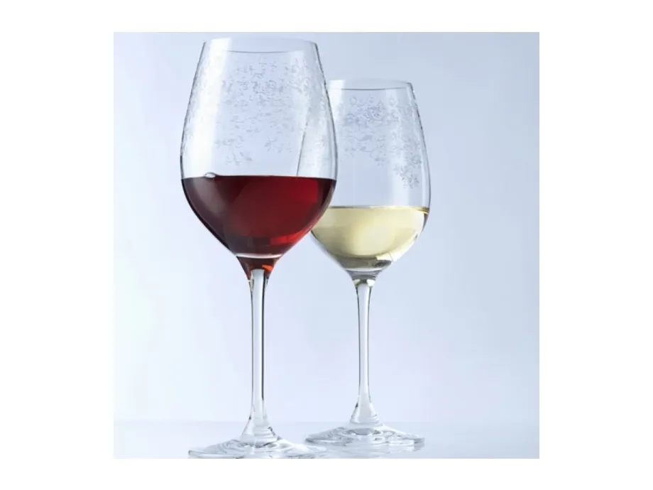 LEONARDO Chateau, Hvidvinsglas, Standardglas, Glas, Transparent, Rydde, 22,5 cm