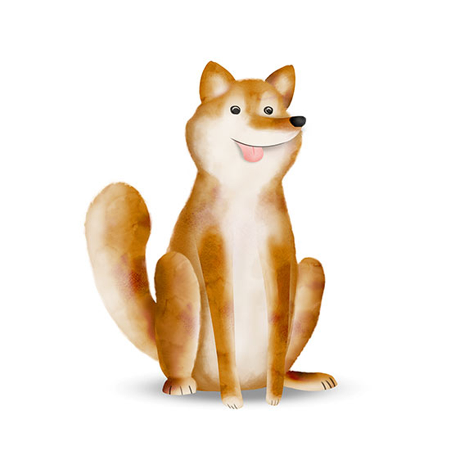Wandbild CUTE ANIMAL DOG - weiß-braun - 50x70 cm