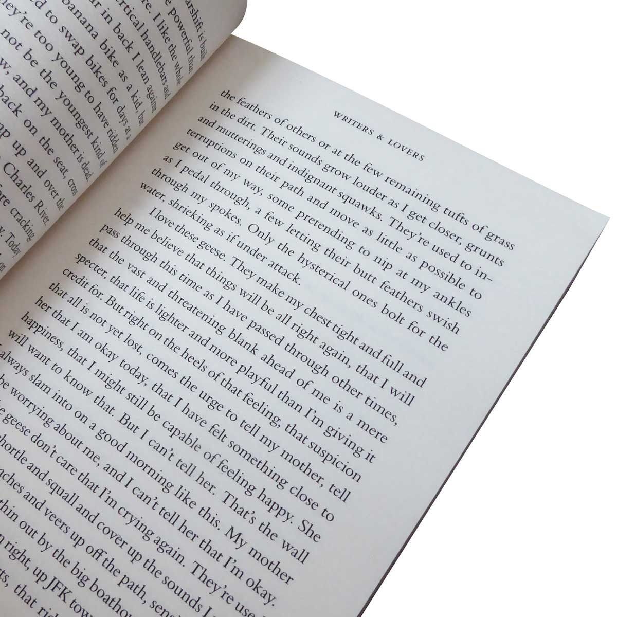 Writers & Lovers (Paperback)