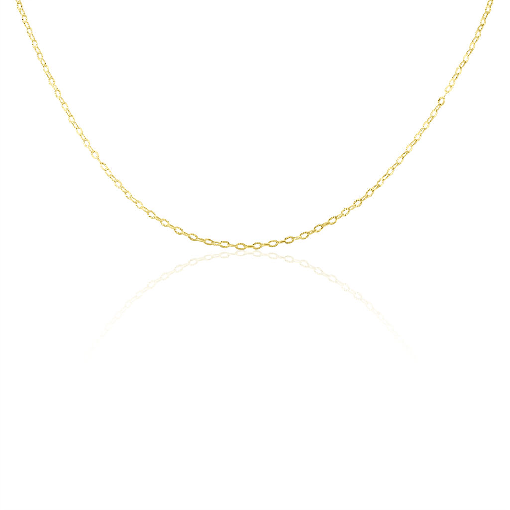 Chaîne Forçat Or Jaune