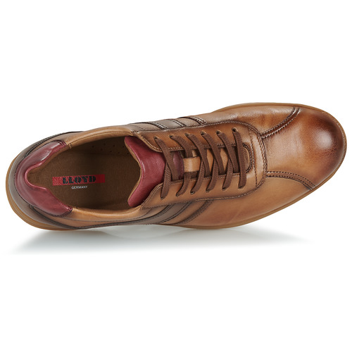 Lloyd - DAVOS - Cognac