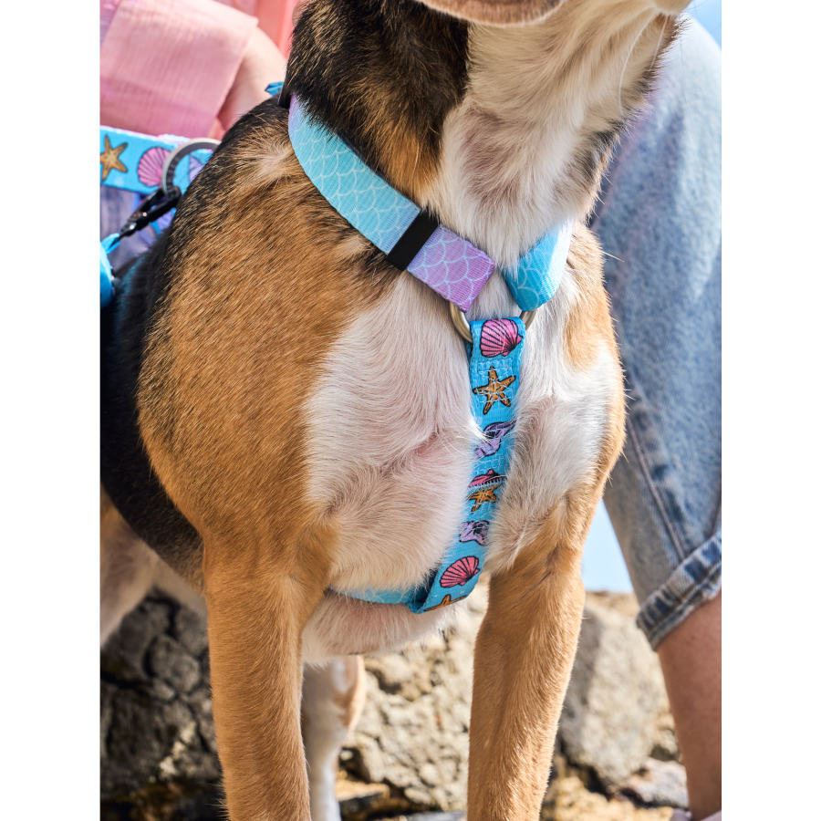 Coleira clássica Dukier Mermaid para cães