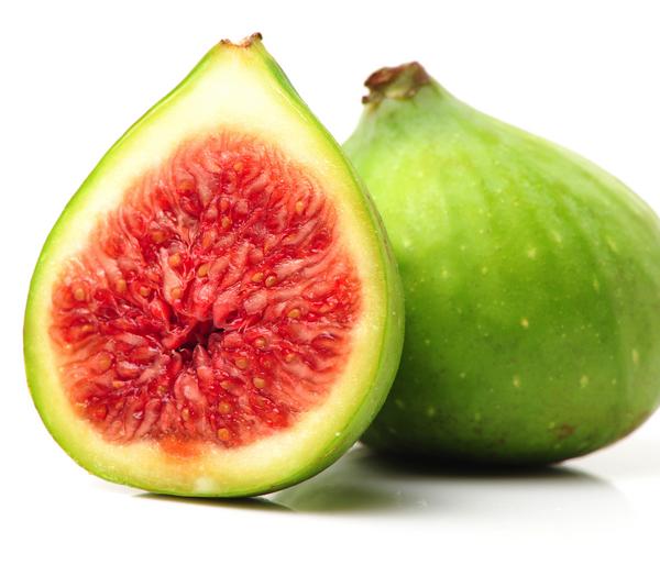 Feige 'Jannot'