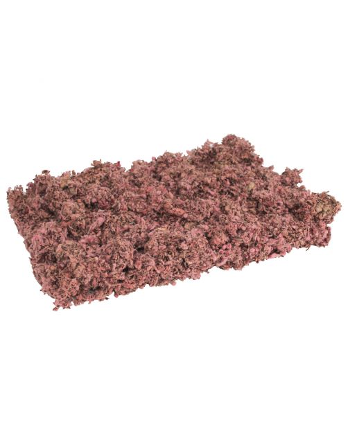 Ekoo Bedding Cotton Scaping Red - Kooi Accessoire - 300 g Rood