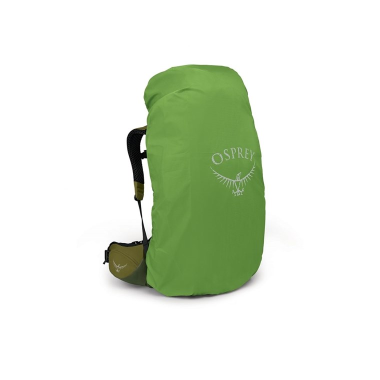 Osprey Atmos Ag Lt 65 Scenic Valley/Green Peppercorn