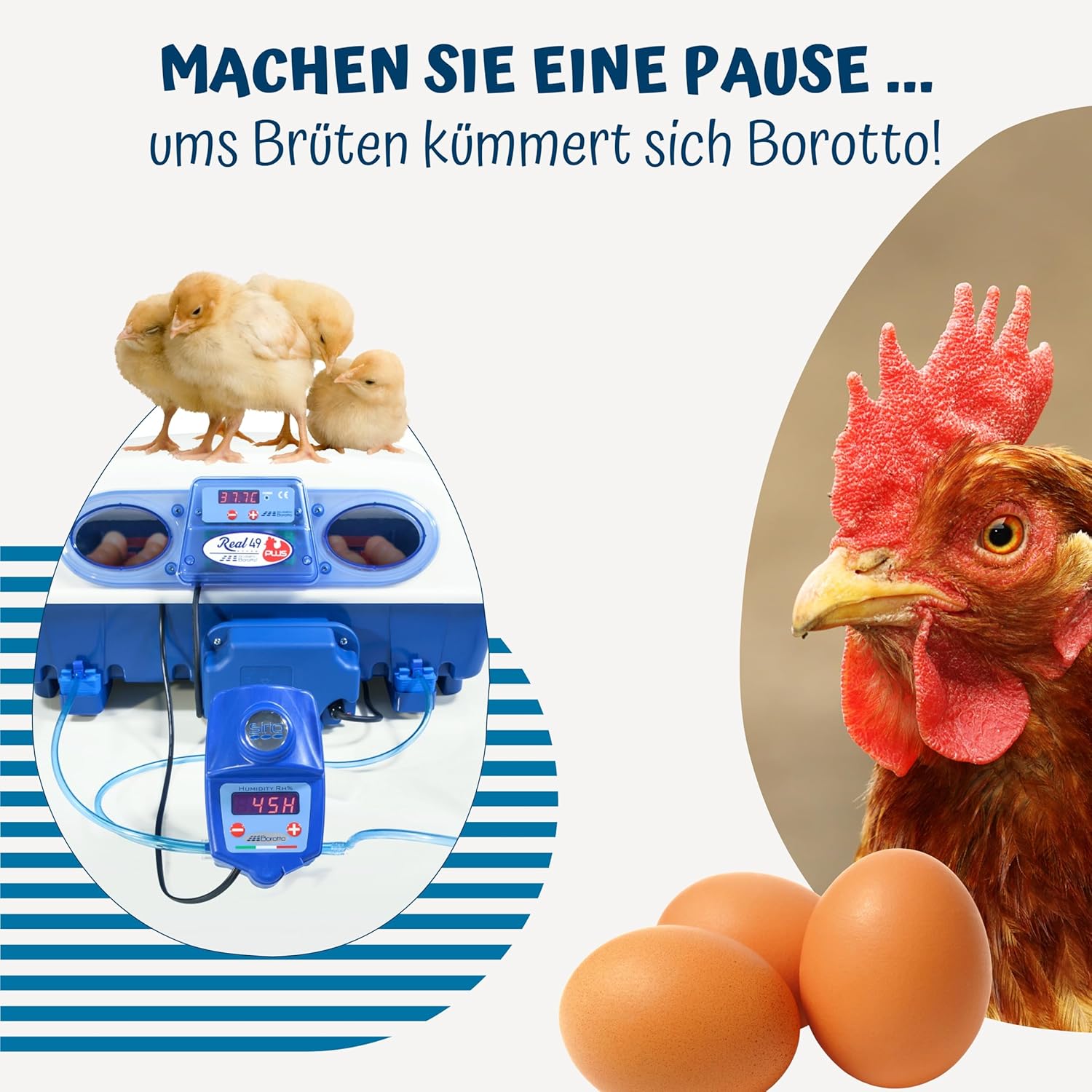Borotto Real 49 Plus Expert | Brutautomat Vollautomatisch Professionelle für 49 oder 196 Kleine Eier mit Automatische Eierwender, Antibakterielles System, Luftbefeuchter Sirio | Hergestellt in Italien