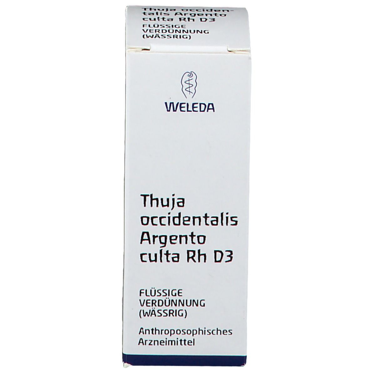 Thuja Occidentalis Argento culta Rh D 3 Dil.