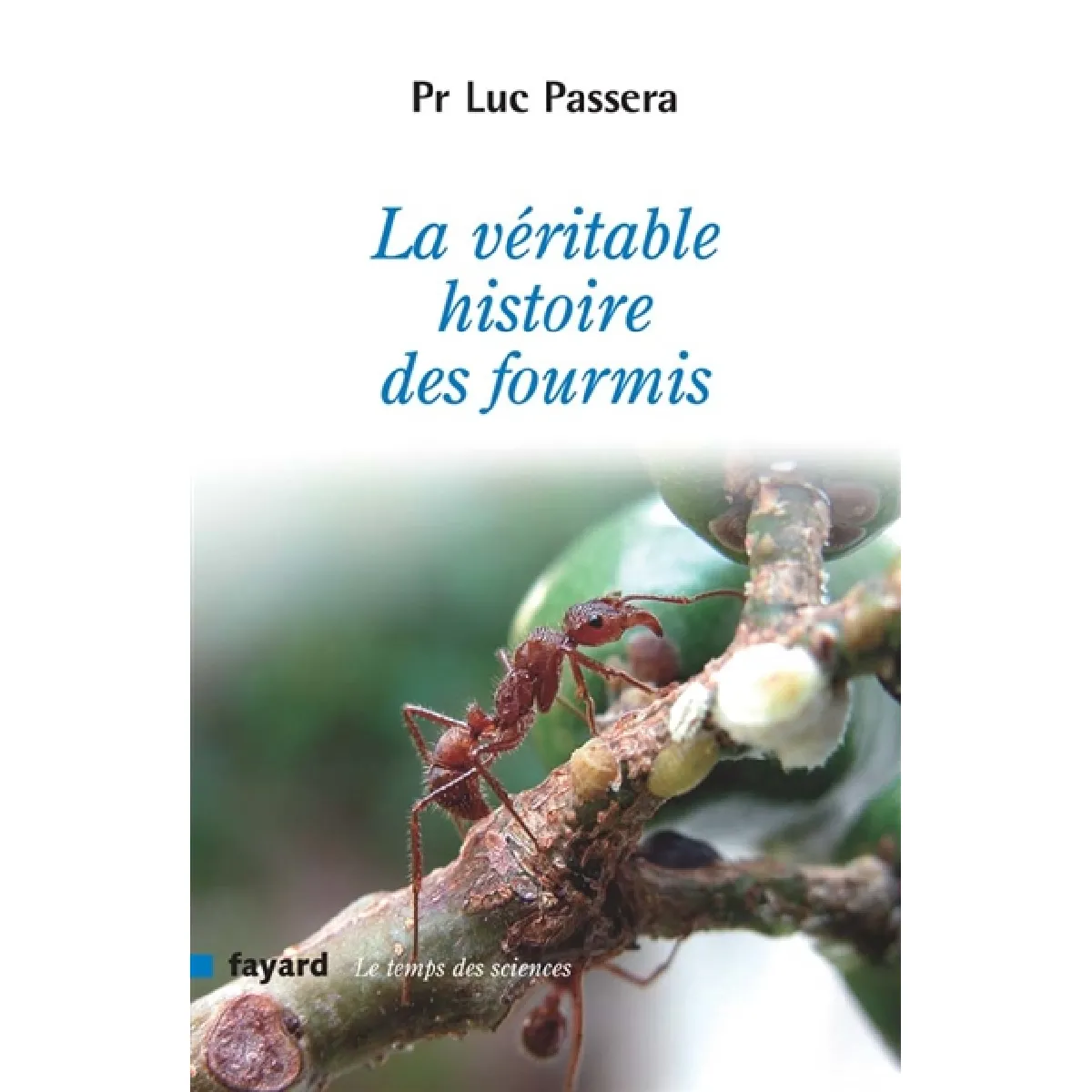 La véritable histoire des fourmis · Occasion