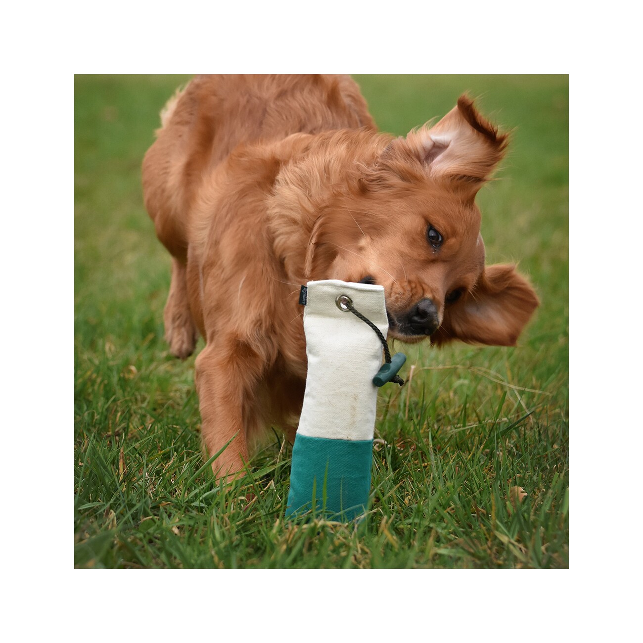 ROMNEYS Dummy Stand-Up 500g