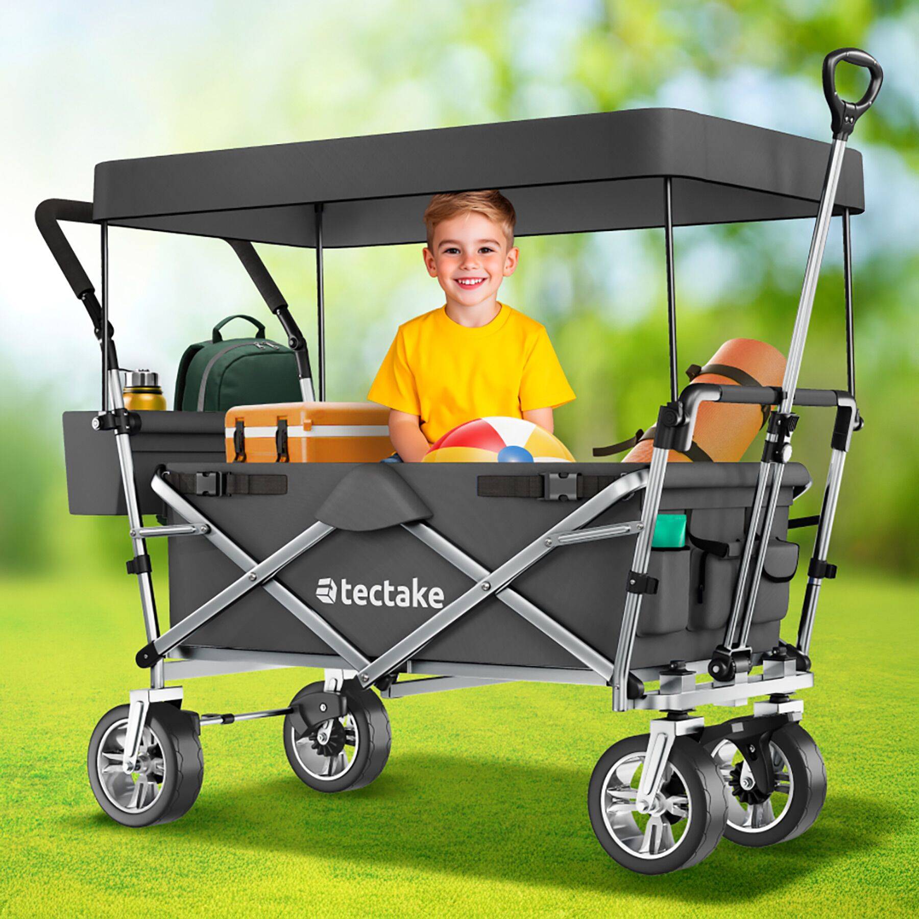 Bollerwagen Nico
