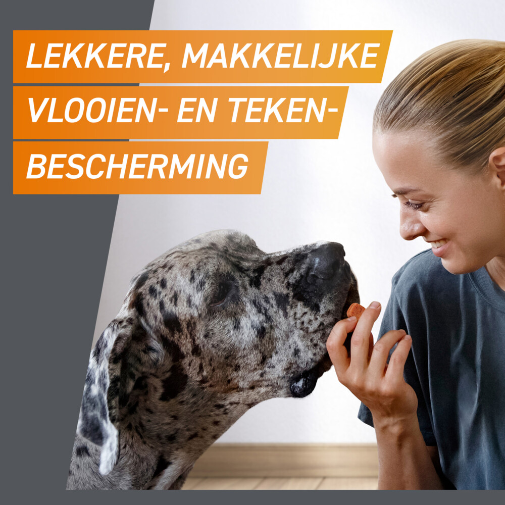 Frontpro Hond L 10-25 kg3 tabletten
