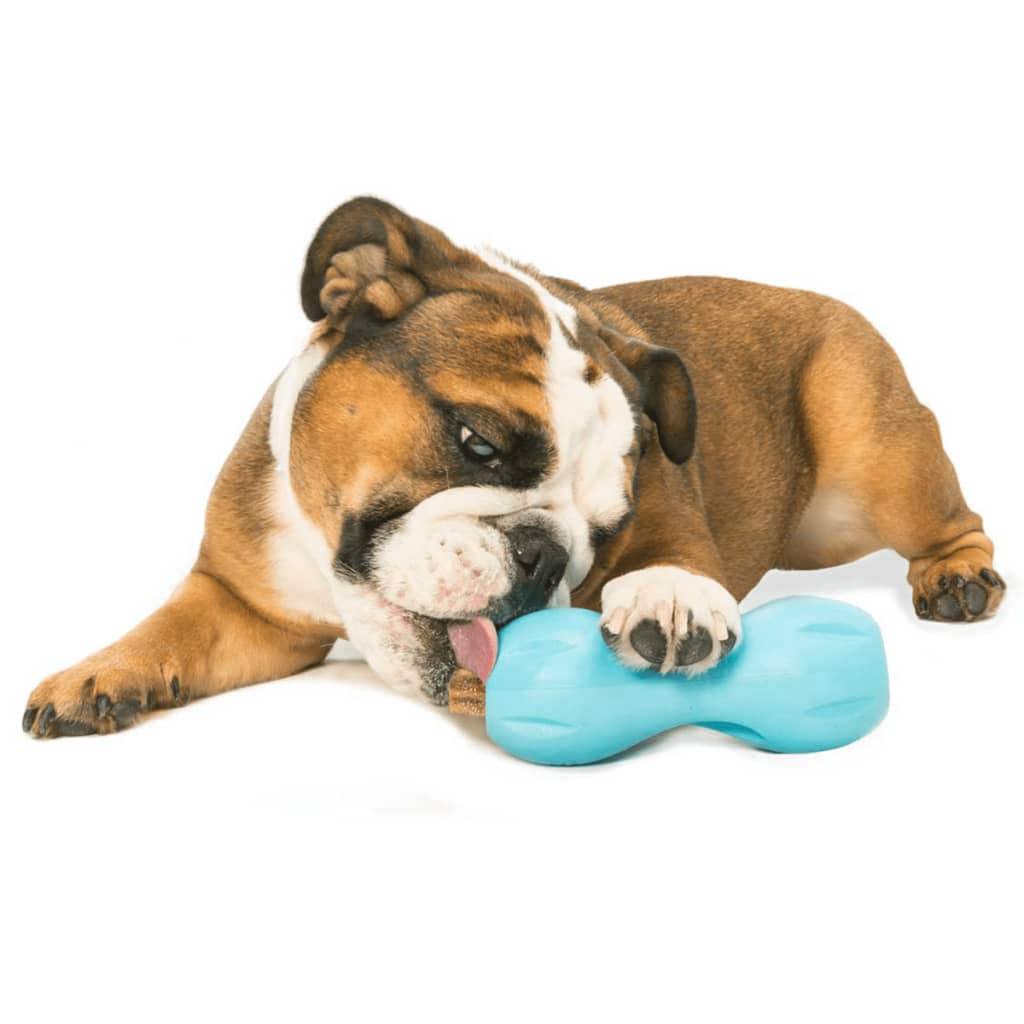 Jouet de puzzle pour chiens qwizl taille l bleu 3540
