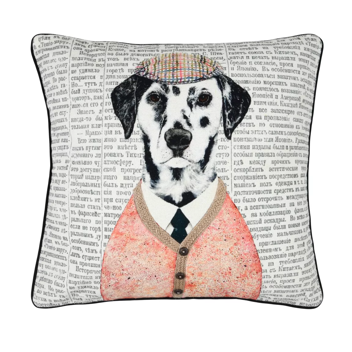 Coussin carré coton (45 x 45 cm) Peter Multicolore