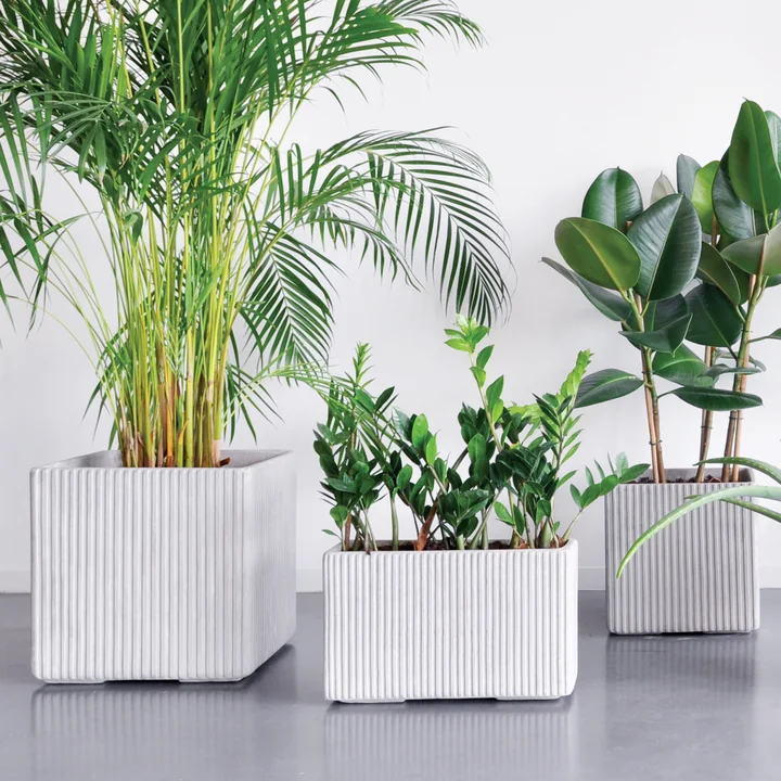 XLBoom - Mon Square Blumentopf S, grau