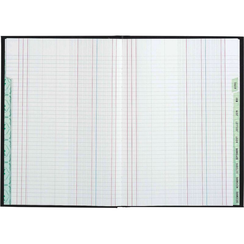 Registre comptable échéancier Le Dauphin, 21 x 29,7 cm 96 pages