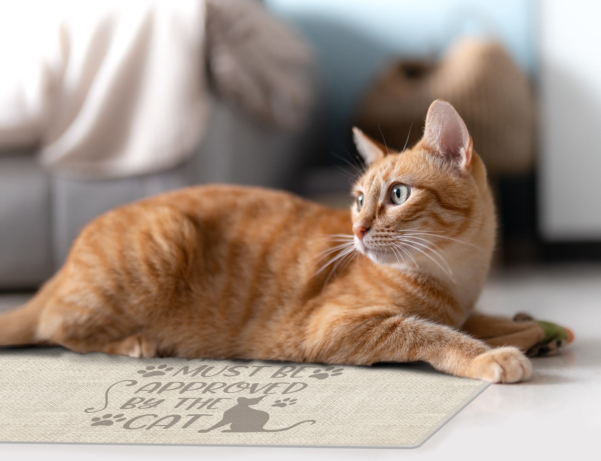 Tapete de vinil para animais de estimação VINILIKO, Meu gato, 48x75 cm