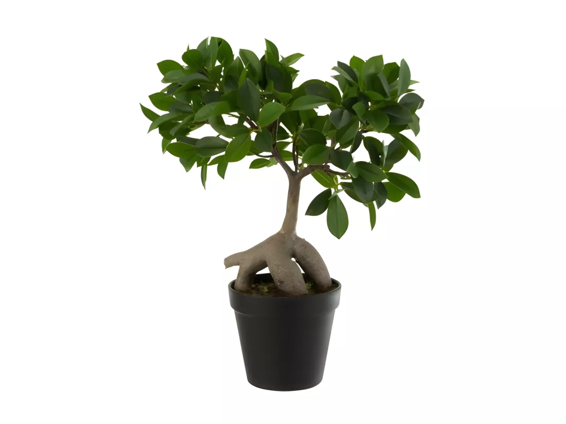 Plante Artificielle en Pot 