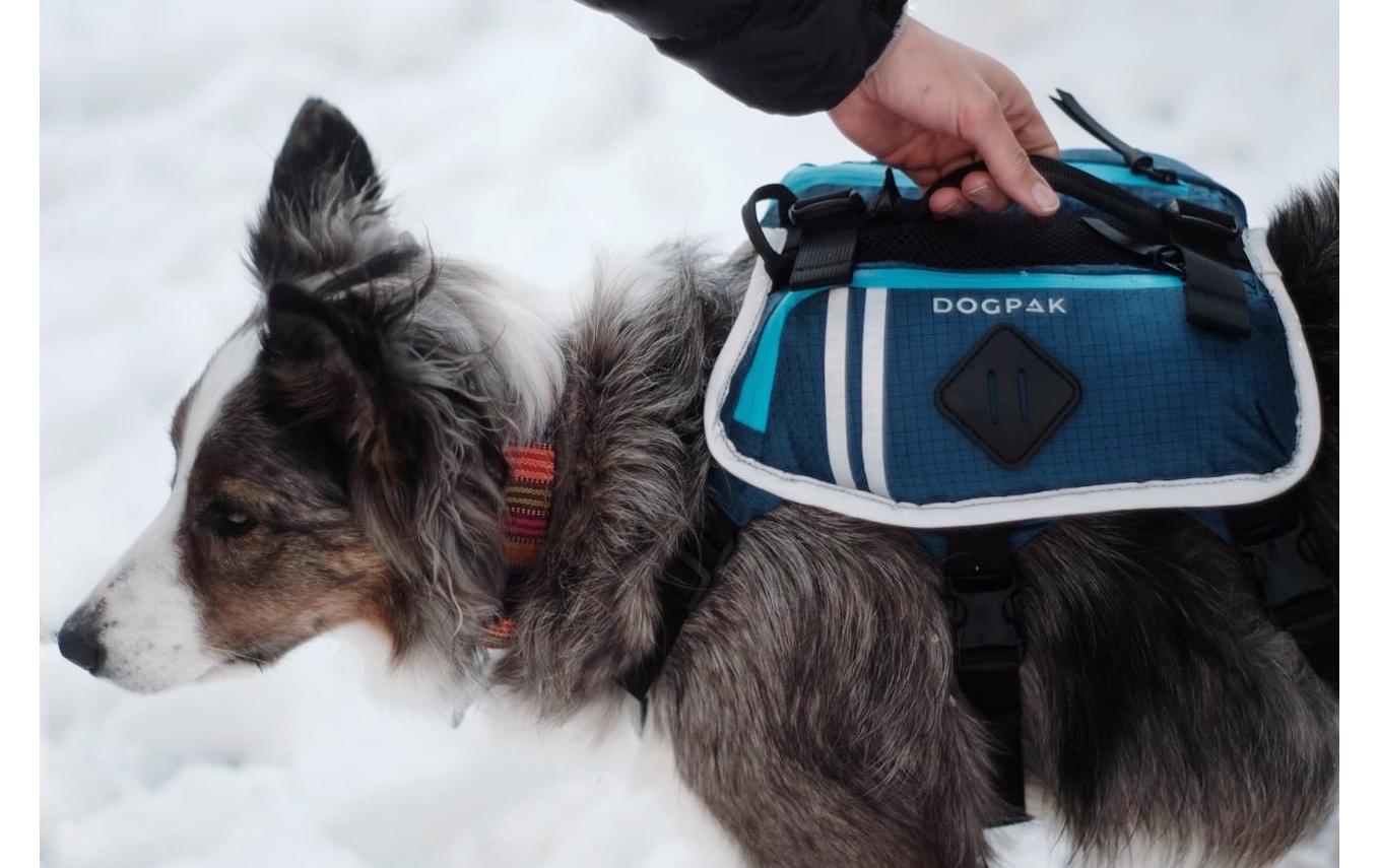 Moab Lite Hunderucksack MUltraleichter, wasserdichter Rucksack und Wandergeschirr für Hunde