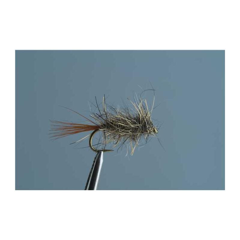 Mouche Tof Émergente Oreille De Lievre Emerger
