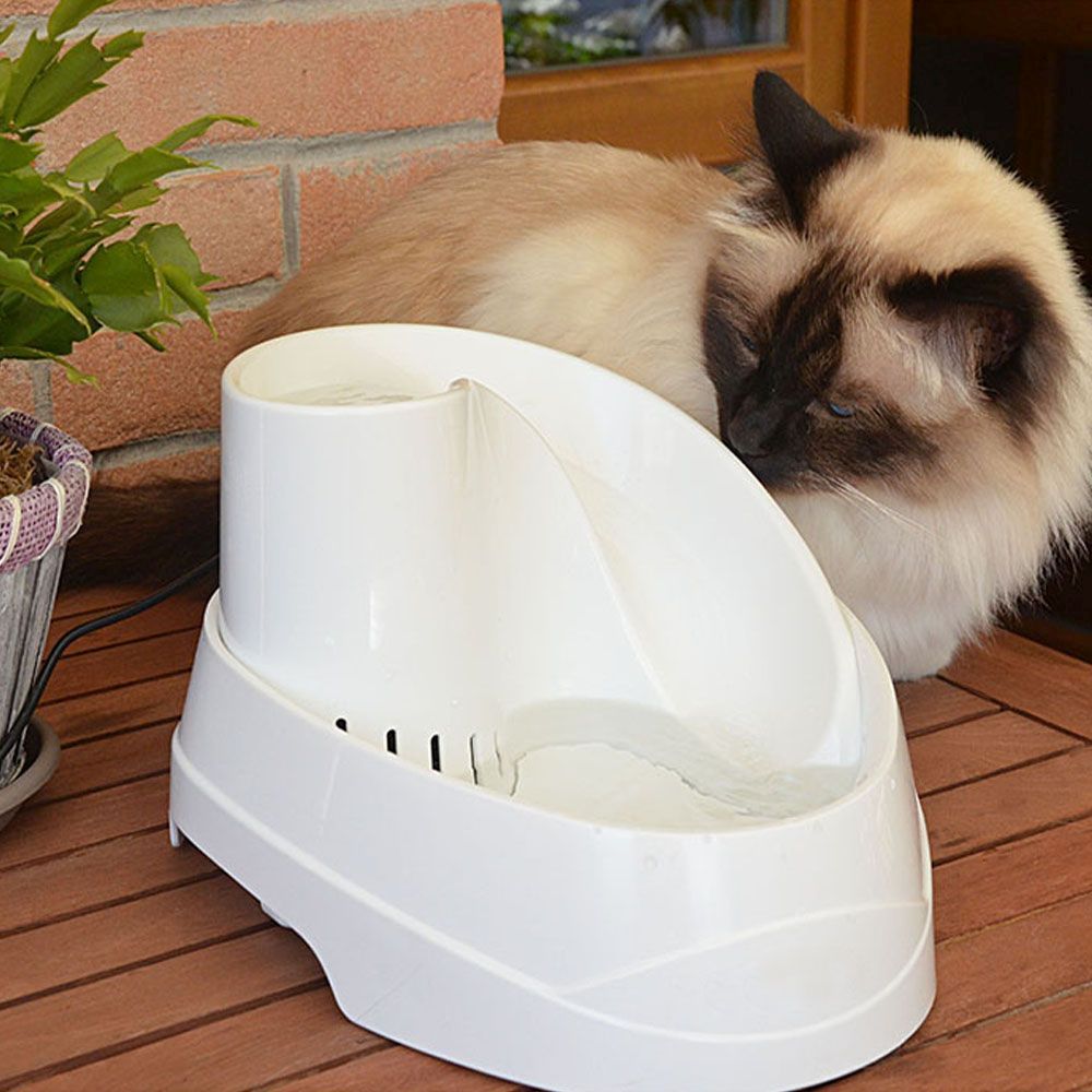 Ferplast fontaine pour chats et chiens de petite taille vega, 2 litres, avec protection antibactérienne permanente, effet source