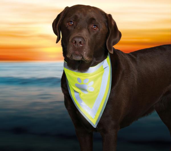 Trixie Hunde-Halstuch Safer Life
