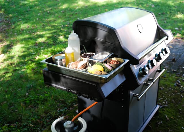FCC Patrone Gasgrill 4.2 (sort)