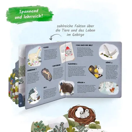 Trötsch Fensterbuch Im Gebirge