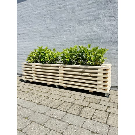 Luksus plantekasse af nye traller 177 cm