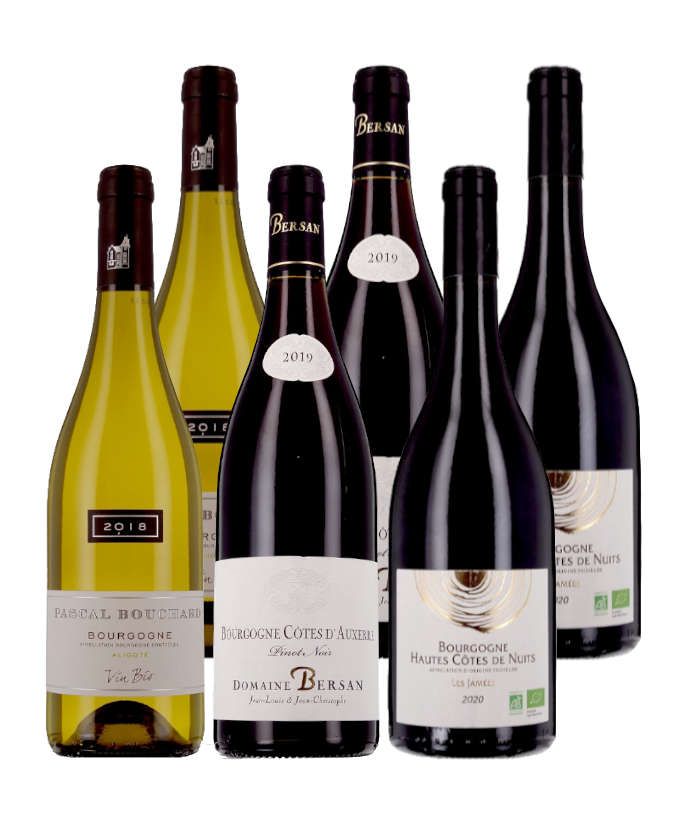 Bourgognes Bio Best-Sellers - 6 bouteilles