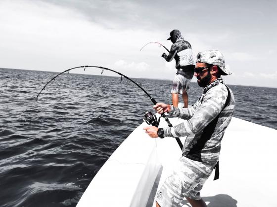 Blank Cape Cod 58-250 5'8 (1m73), 120-350g