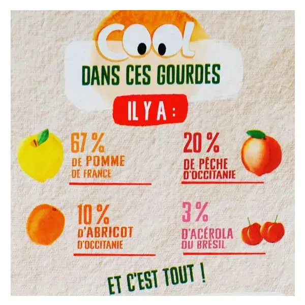 Vitabio Cool Fruits La Pat’ Patrouille Pomme Pêche Abricot Bio 12 x 90g