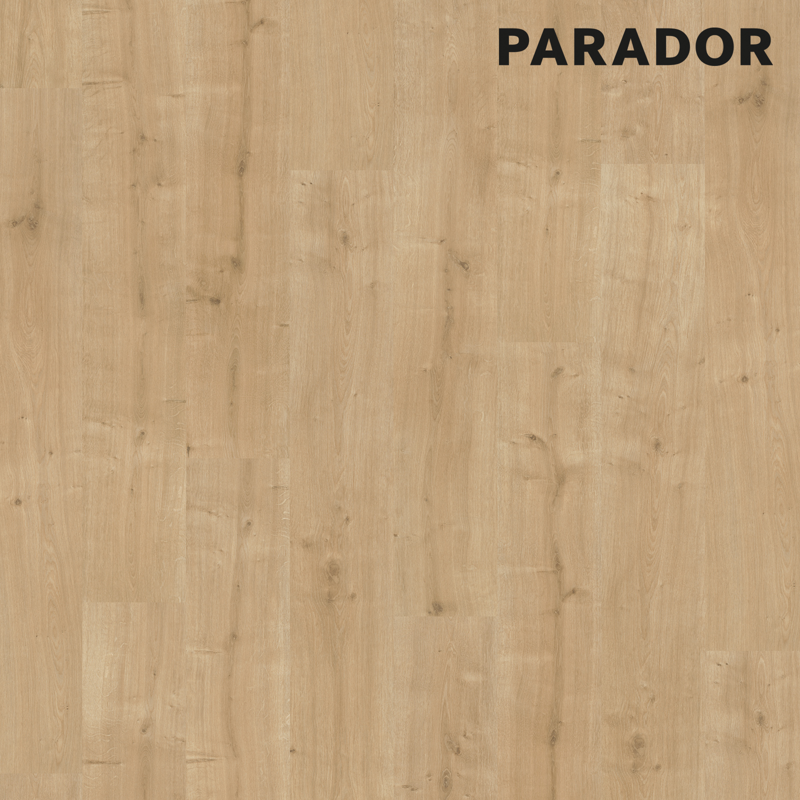 PARADOR Laminat BASIC 400 - Eiche geschliffen - 8 mm
