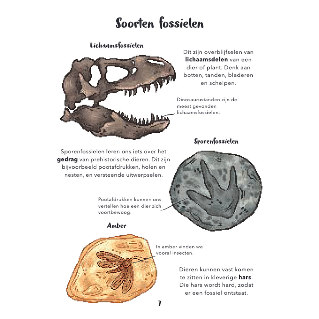 Uitgeverij lannoo mijn eerste bijzondere boek van dinosaurussen