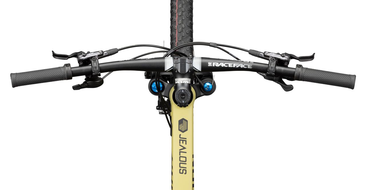 Radon Jealous AL 10.0 kaufen | Bike-Discount