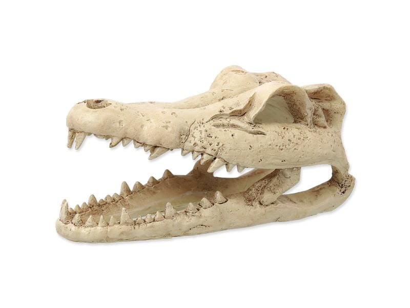 Repti Planet Dekoschädel Krokodil Künstliche Dekoration