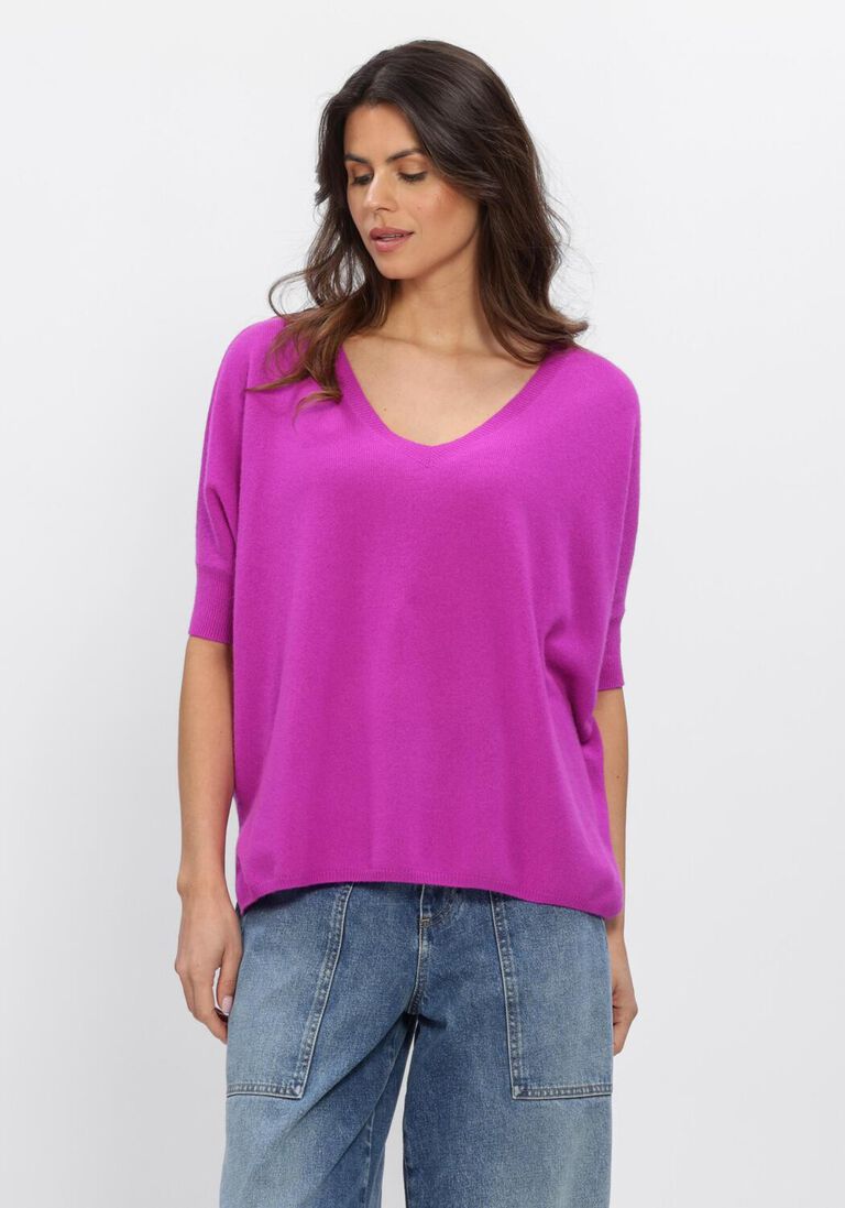 paarse absolut cashmere truien/vesten kate