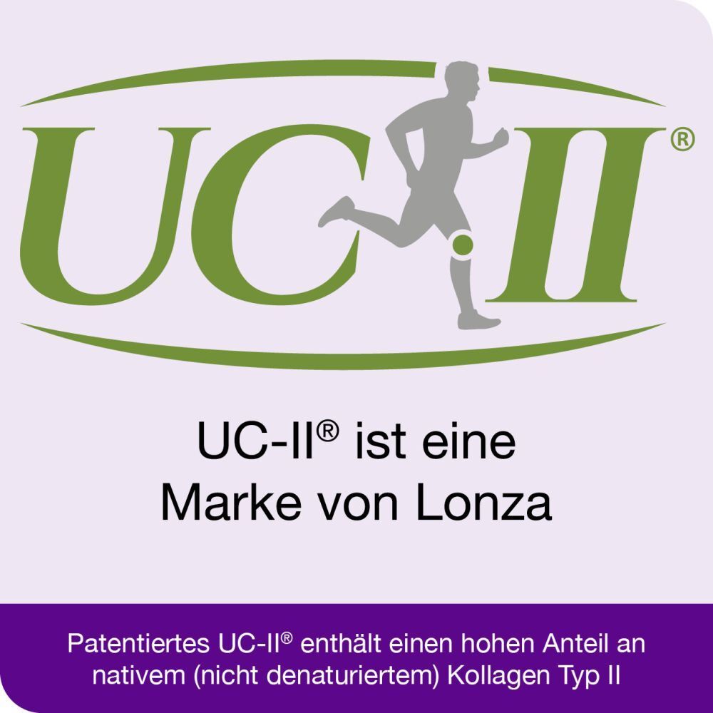 curcumin-Loges® arthro plus UC-II®