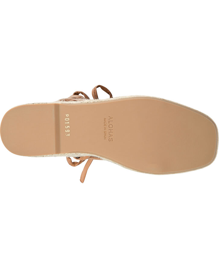 ALOHAS Paw-Paw Camel Camel