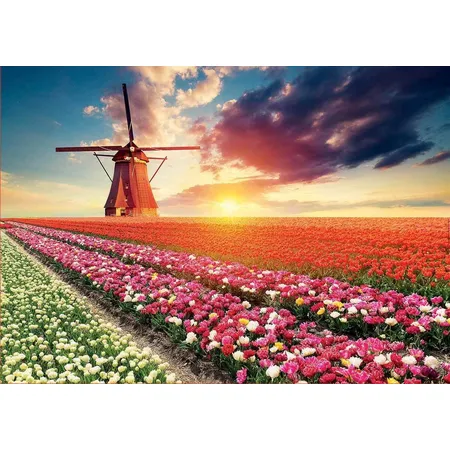 Educa Puzzle Windmühle in Tulpenfeld, 1500 Teile