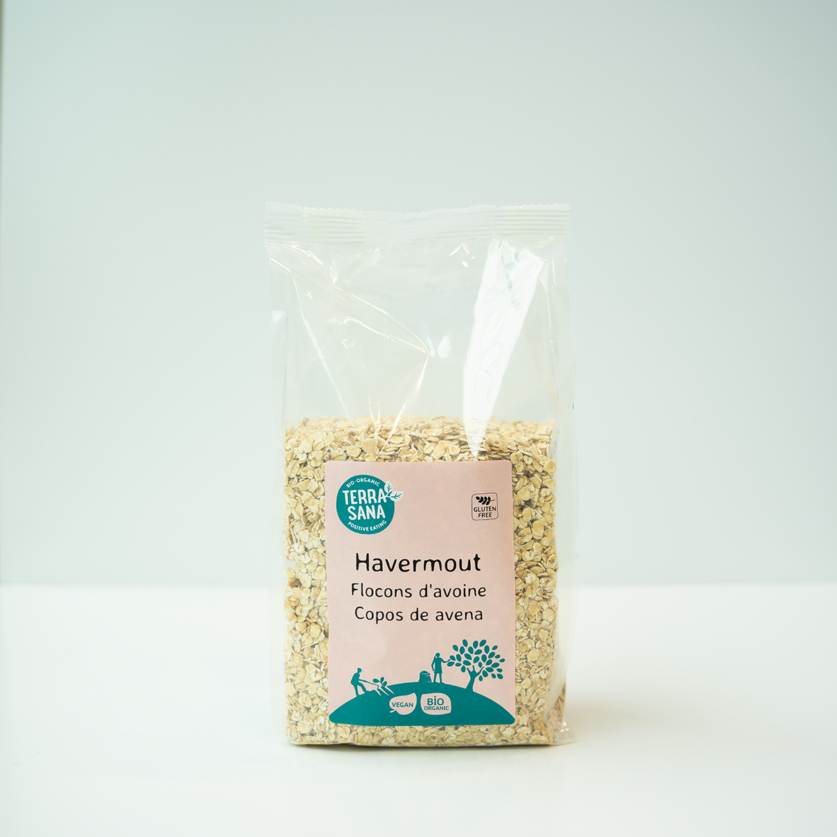 Terrasana Glutenvrije havermout (bio) 450 gram