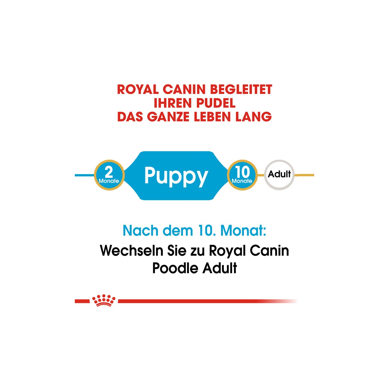 ROYAL CANIN BHN Poodle Puppy 3kg
