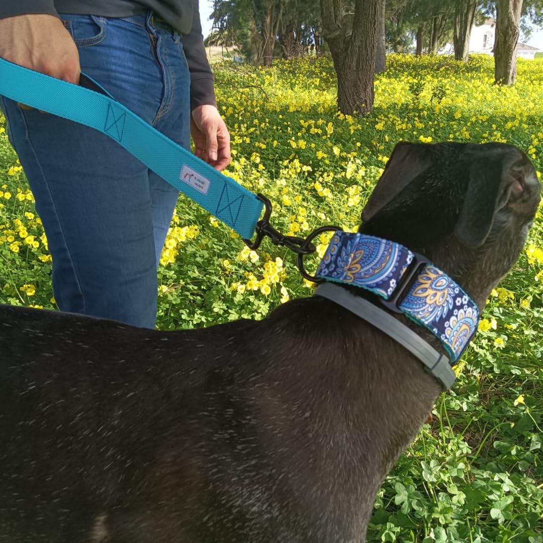 EGV - Coleira Martingale de 4 cm de largura, coleira para galgo feita à mão na Espanha (Caxemira)