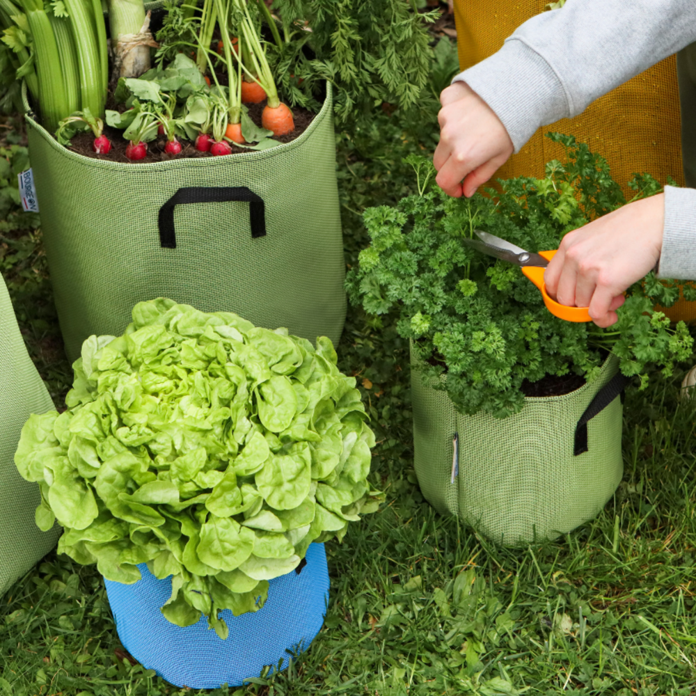 Sac pour plantations respirant 12 cm bleu