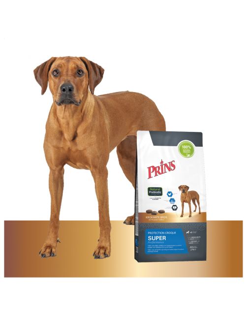 Prins Protection Croque Super Performance - Hondenvoer