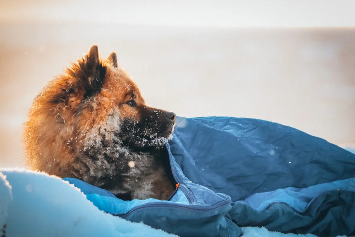 Non-stop Dogwear Ly Sleepingbag For Dog Blue