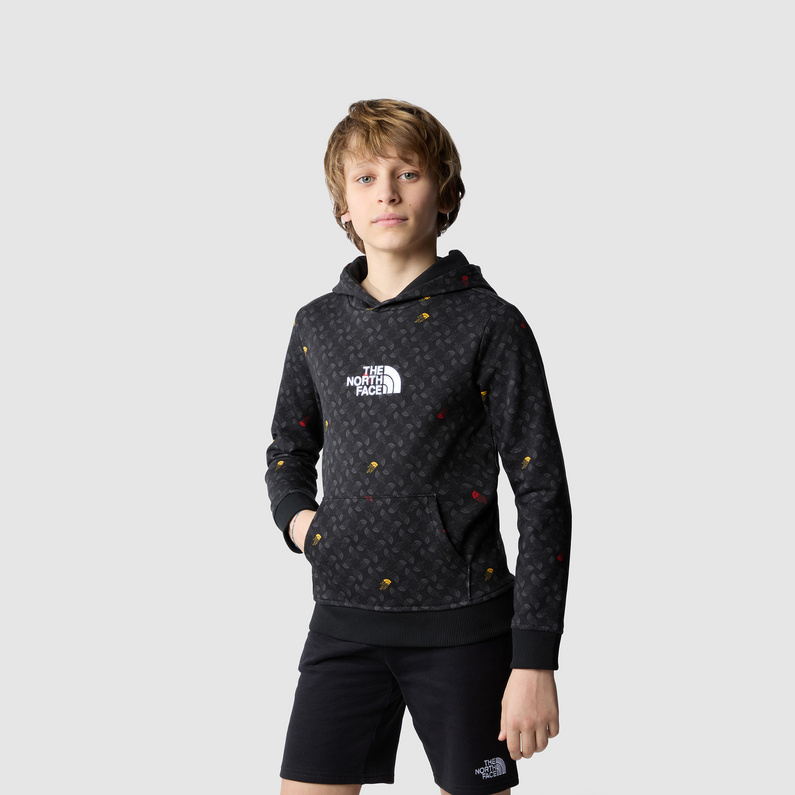 The North Face Kinder B Drew Peak Light P/O Print Hoodie