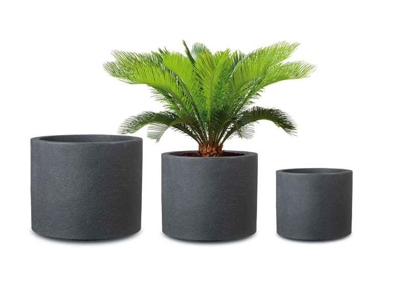 Plantenbak